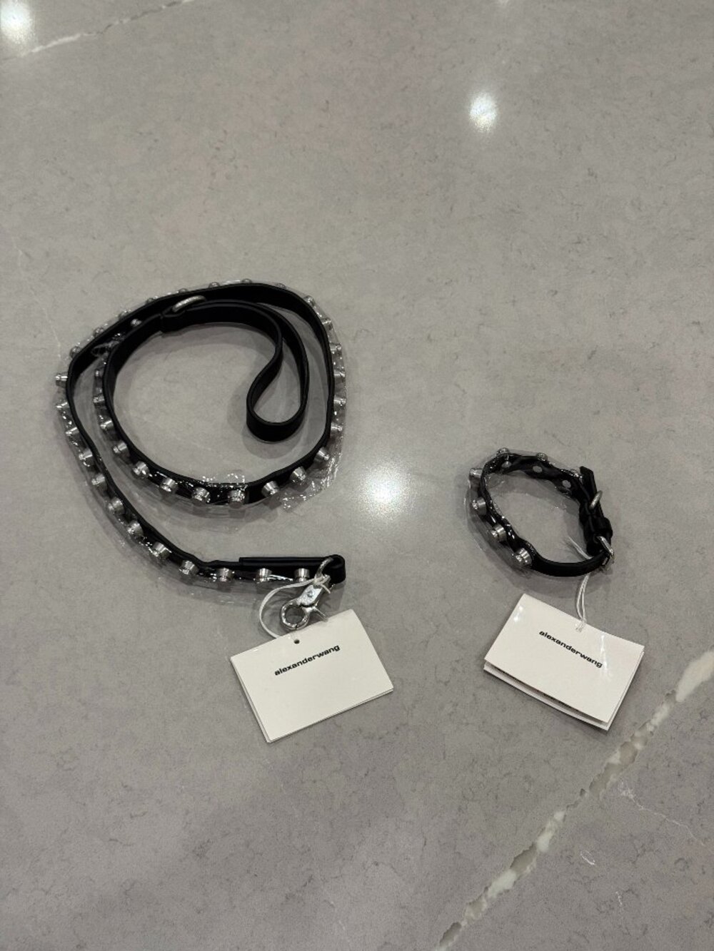 Alexander Wang "Ricco" Dog Leash & Small Dog Collar Set – Black, New with Tags